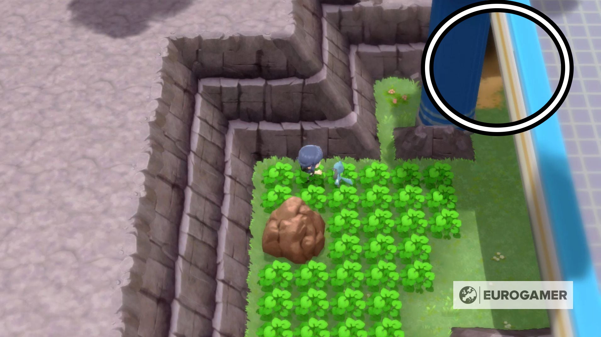 Pokémon Brilliant Diamond and Shining Pearl Gible location How to get